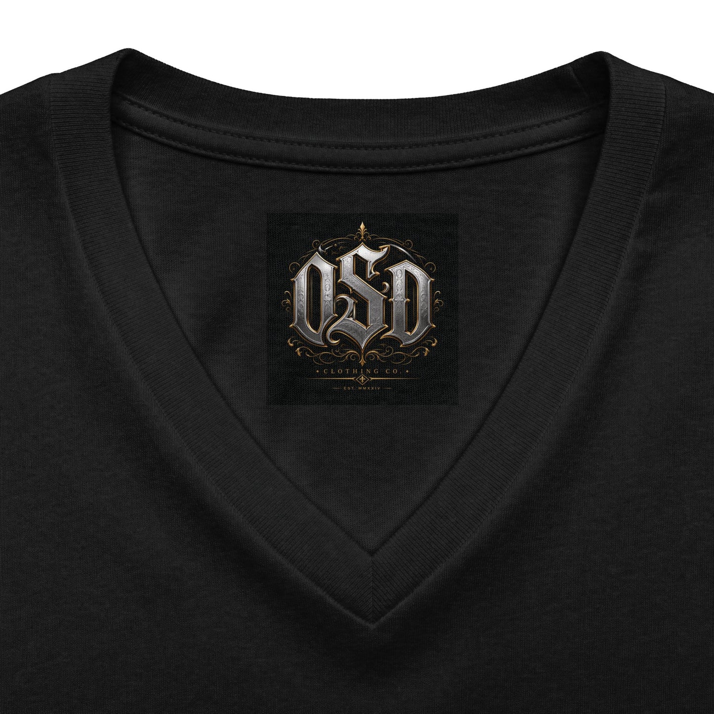 Women's V‑Neck Tee — "Beauty & Power" Gothic Rose Graphic