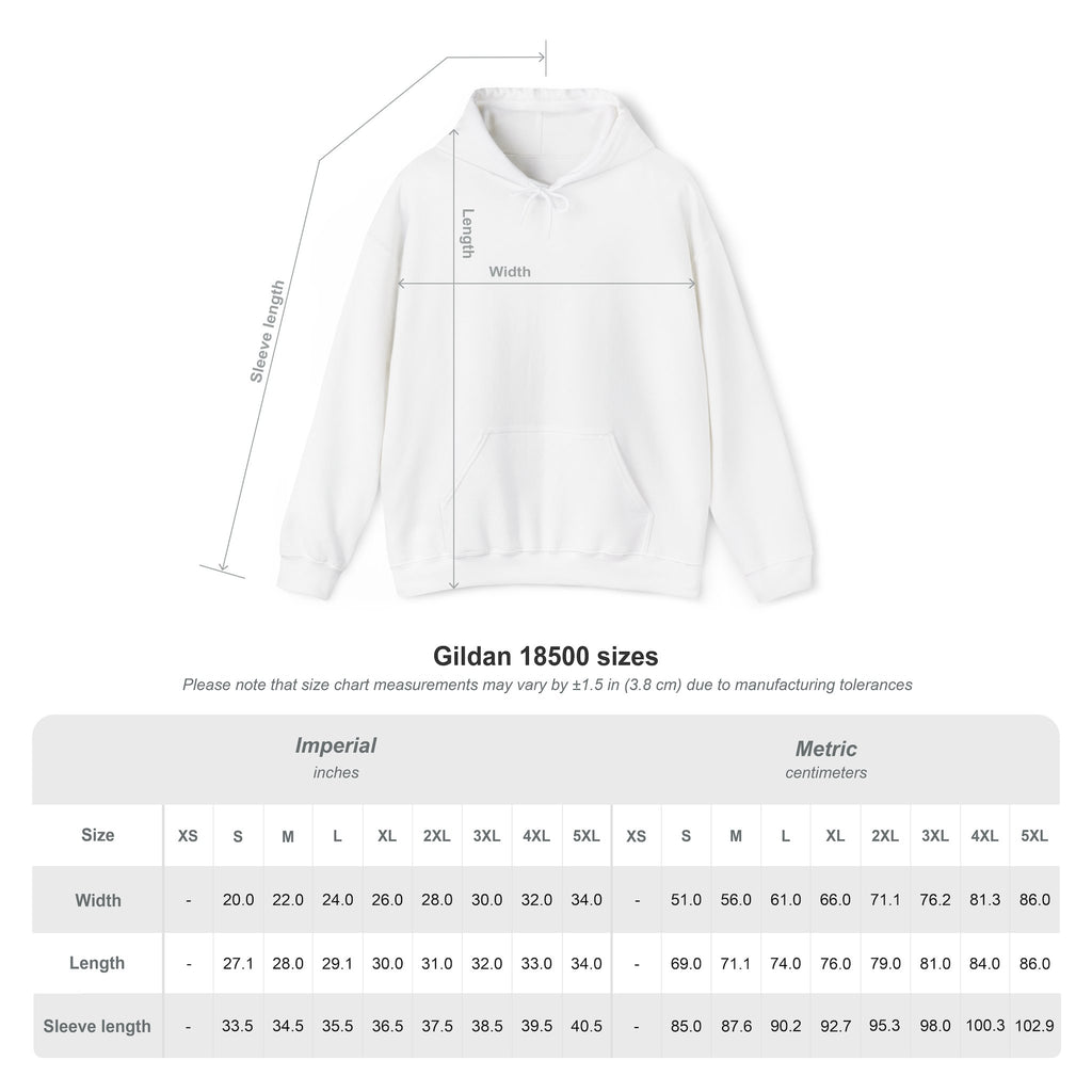 Broncos Fierce Hoodie — Team Logo Sleeve Pullover